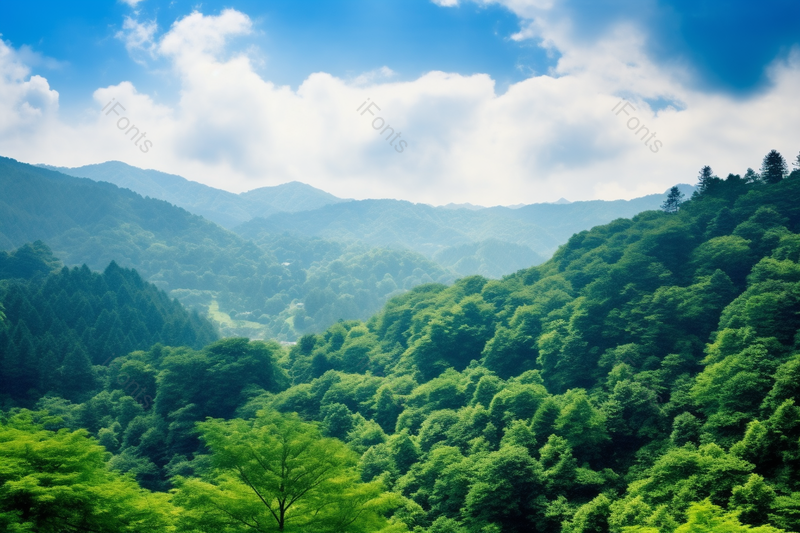 高处眺望群山里的茂盛树林乡间气息,高清,摄影图,摄影图片,图片大全,摄影图免费下载